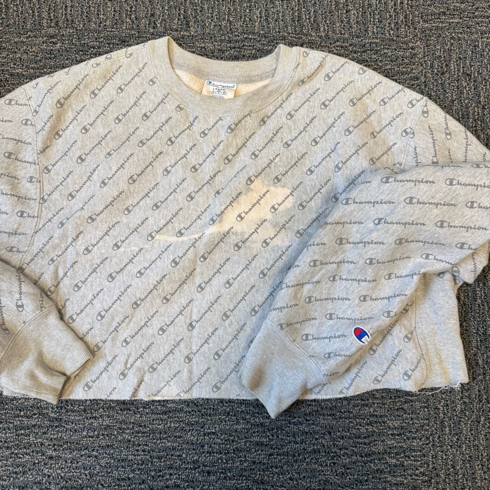 Champion Gray Reverse Weave Sweatshirt